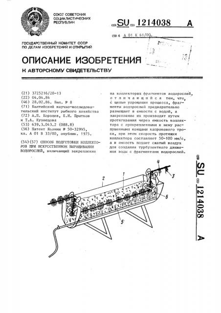 Способ подготовки коллекторов при искусственном выращивании водорослей (патент 1214038)