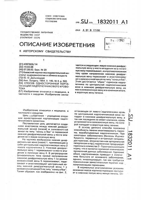 Способ односторонней портализации надпочечникового кровотока (патент 1832011)