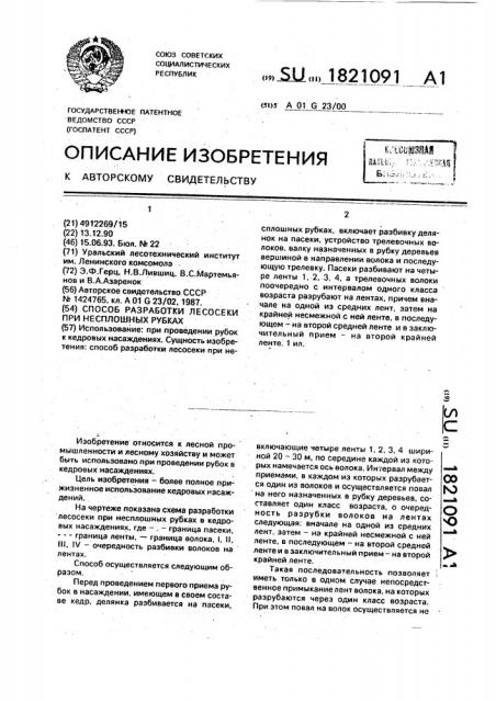 Способ разработки лесосеки при несплошных рубках (патент 1821091)