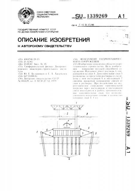 Фундамент гидротехнического сооружения (патент 1339269)