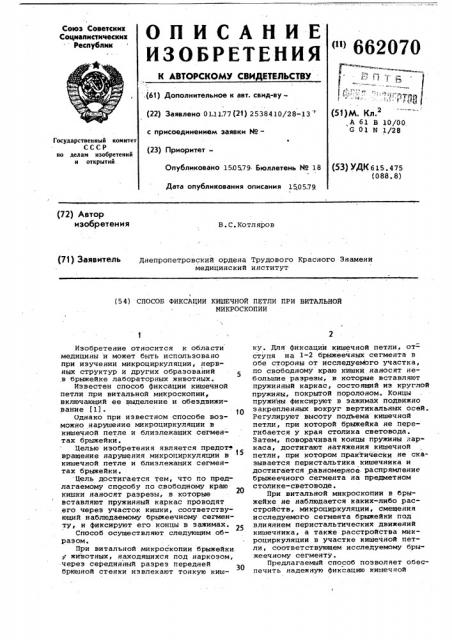 Способ фиксации кишечной петли при витальной микроскопии (патент 662070)