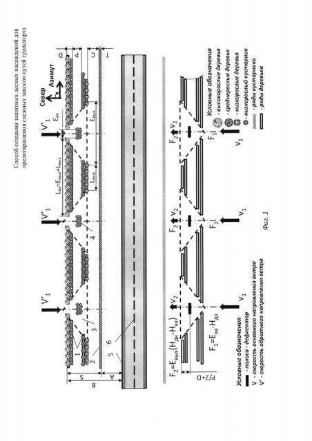 Способ создания защитных лесных насаждений для предотвращения снежных заносов путей транспорта (патент 2649667)