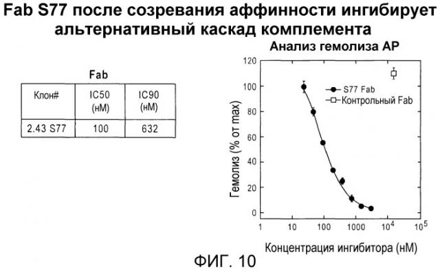 Антитела против c3b и способы профилактики и лечения связанных с комплементом нарушений (патент 2473563)