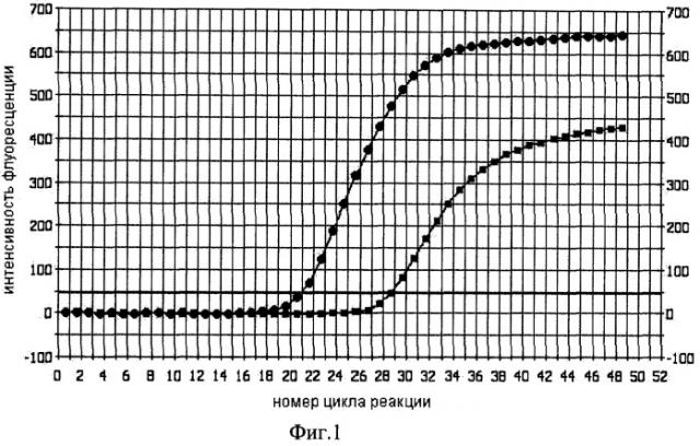 Способ определения наличия "горячего старта" в полимеразной цепной реакции (патент 2346986)