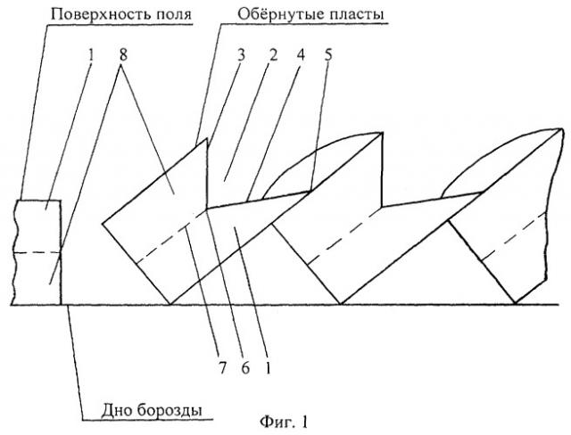 Способ разуплотнения почвы, уплотненной ходовыми системами сельскохозяйственной техники (патент 2281635)