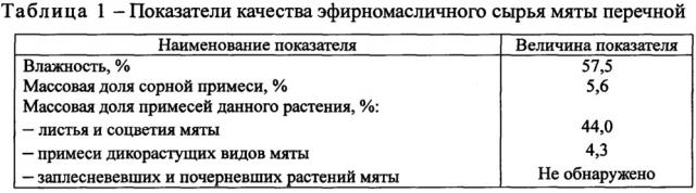 Способ получения эфирного масла мяты перечной (патент 2649024)