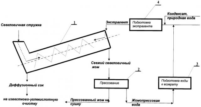 Способ диффузионно-прессового извлечения сахарозы из свекловичной стружки (патент 2504587)