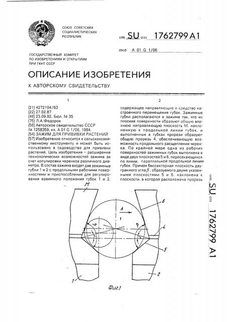 Зажим для прививки растений (патент 1762799)