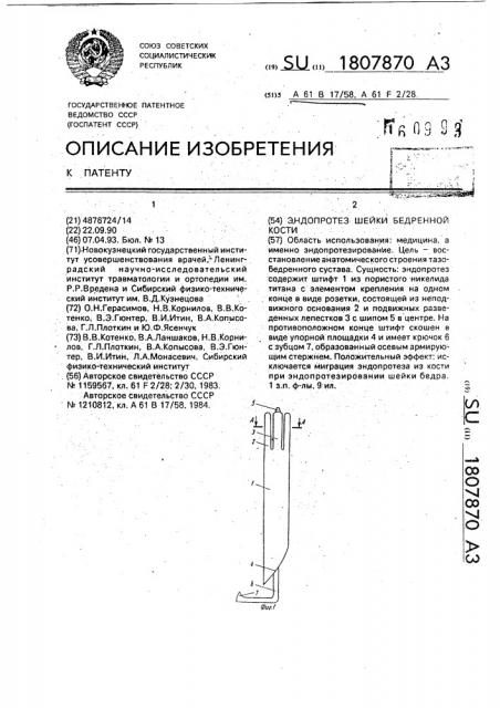 Эндопротез шейки бедренной кости (патент 1807870)