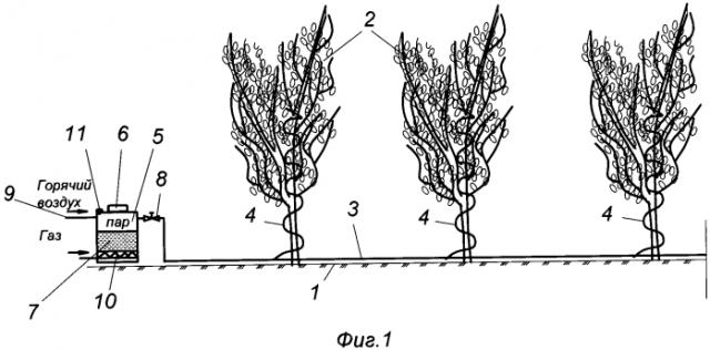 Способ защиты деревьев от вредителей (патент 2587261)