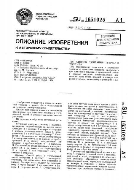 Способ сжигания твердого топлива (патент 1651025)