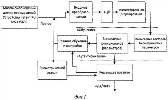 Способ динамической биометрической аутентификации личности по особенностям почерка (патент 2541131)