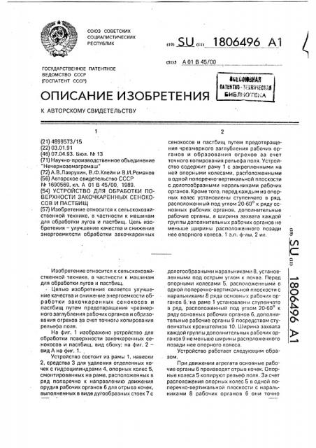 Устройство для обработки поверхности закочкаренных сенокосов и пастбищ (патент 1806496)