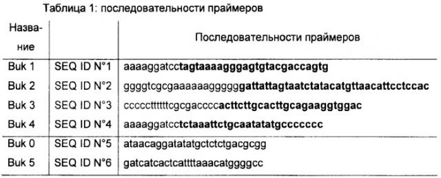 Способ биологического производства н-бутанола (патент 2461627)