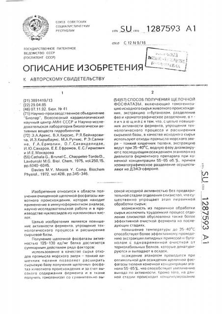 Способ получения щелочной фосфатазы (патент 1287593)