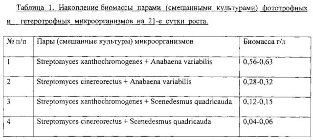 Способ подбора продуктивных пар фототрофных и гетеротрофных микроорганизмов (патент 2598720)