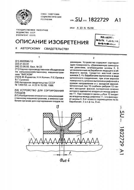 Устройство для сортирования плодов (патент 1822729)