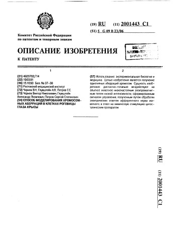 Способ моделирования хромосомных аберраций в клетках роговицы глаза крысы (патент 2001443)