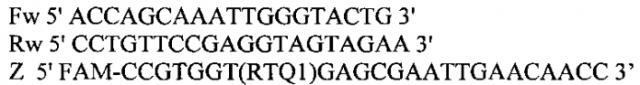 Олигонуклеотидные праймеры, флюоресцентный зонд и способ для выявления генома вируса эпизоотической диареи свиней методом обратной транскрипции - полимеразной цепной реакции (патент 2586527)