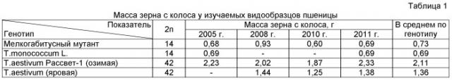 Способ оценки реализации элементарных двойных диплоидных геномов в полиплоидных полигеномных пшеницах (патент 2520835)