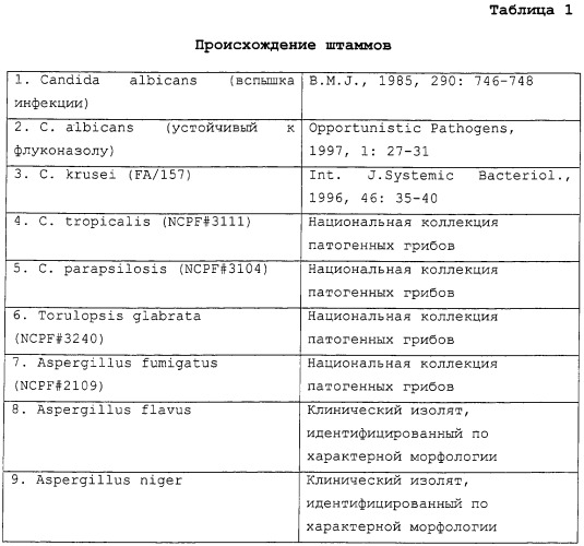 Лечение грибковой инфекции противогрибковыми препаратами из группы полиенов или ингибиторов -глюкансинтазы в комбинации с анти-hsp90-антителами (патент 2262952)