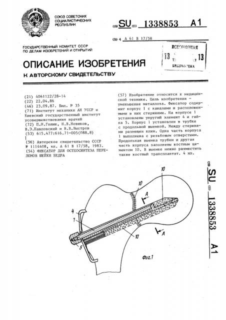 Фиксатор для остеосинтеза переломов шейки бедра (патент 1338853)