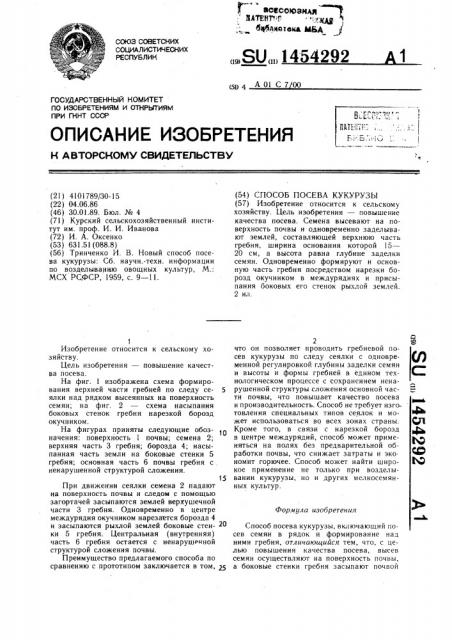 Способ посева кукурузы (патент 1454292)