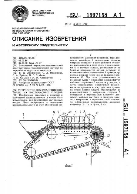 Устройство для удаления косточек из косточковых плодов (патент 1597158)