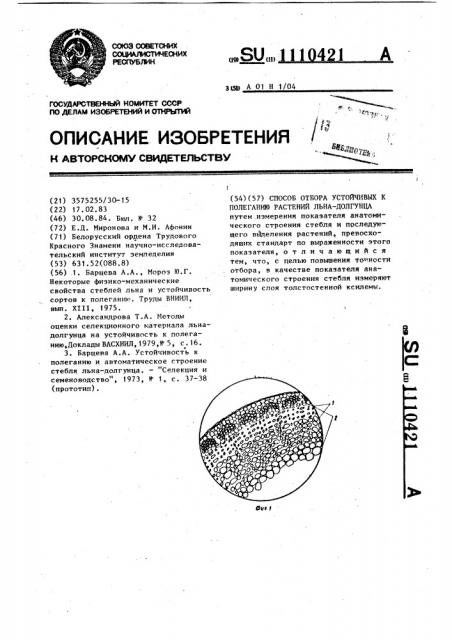 Способ отбора устойчивых к полеганию растений льна-долгунца (патент 1110421)