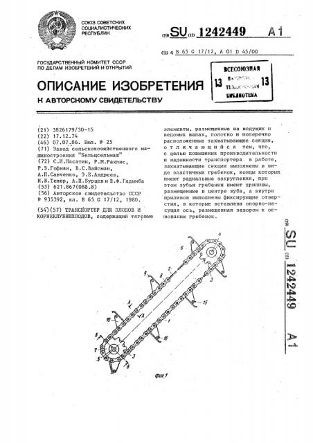 Транспортер для плодов и корнеклубнеплодов (патент 1242449)