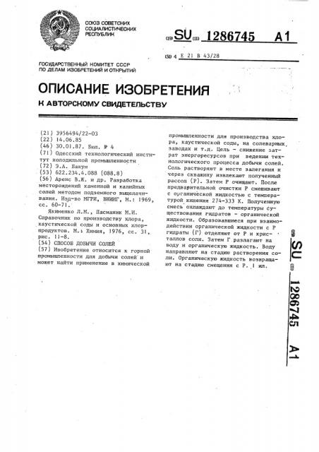 Способ добычи солей (патент 1286745)