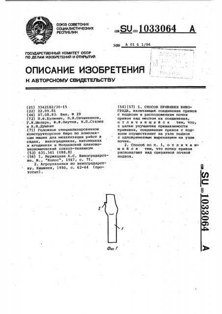 Способ прививки винограда (патент 1033064)