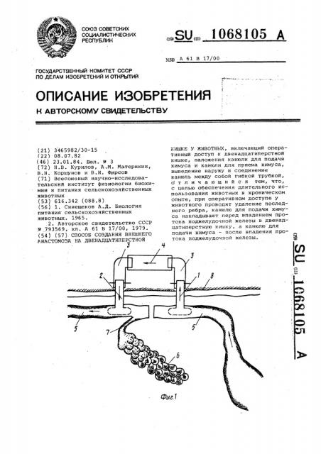 Способ создания внешнего анастомоза на двенадцатиперстной кишке у животных (патент 1068105)