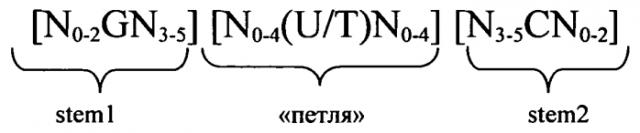 Нуклеиновая кислота, содержащая или кодирующая гистоновую структуру типа 