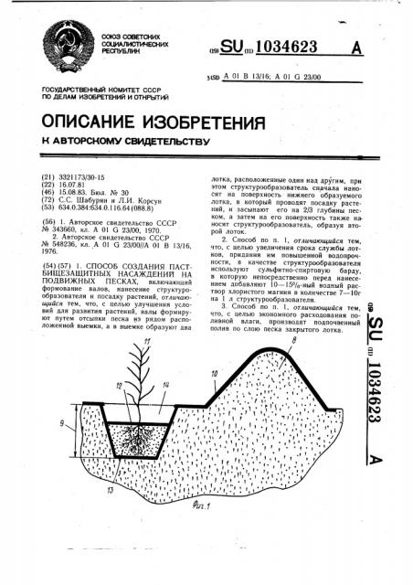 Способ создания пастбищезащитных насаждений на подвижных песках (патент 1034623)