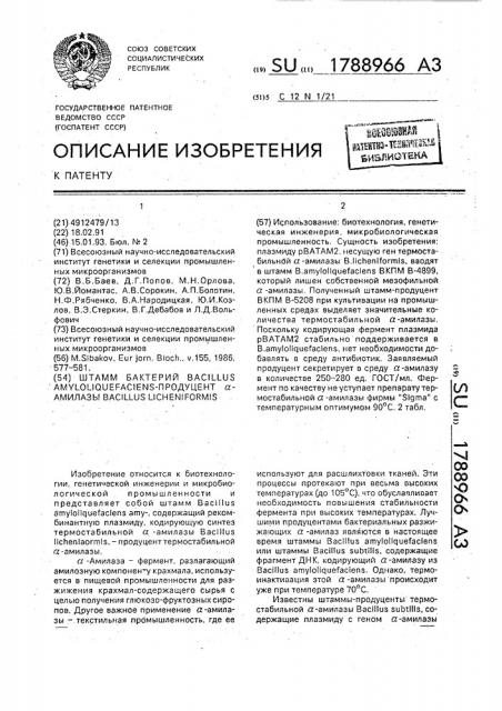 Штамм бактерий bacillus амylоliquеfасiеns-продуцент @ - амилазы bacillus liснеnifоrмis (патент 1788966)