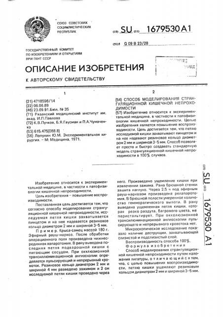 Способ моделирования странгуляционной кишечной непроходимости (патент 1679530)