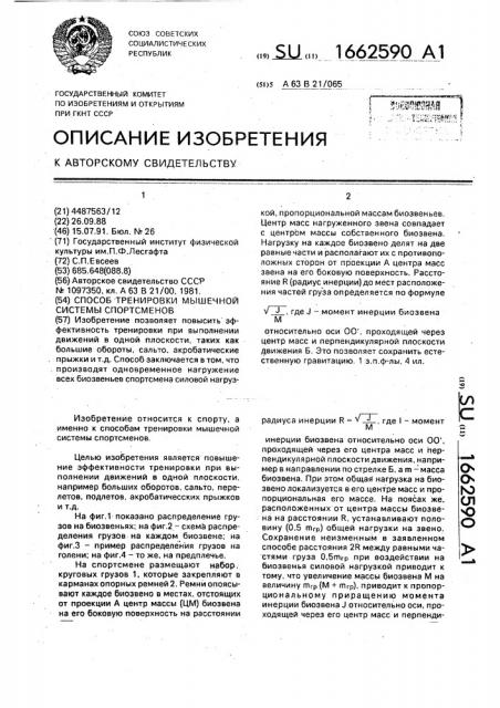 Способ тренировки мышечной системы спортсменов (патент 1662590)