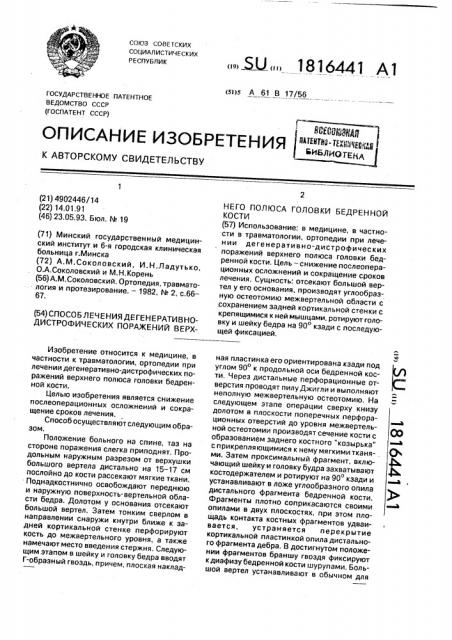 Способ лечения дегенеративно-дистрофических поражений верхнего полюса головки бедренной кости (патент 1816441)