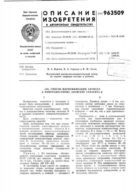 Способ идентификации антител к поверхностному антигену гепатита в (патент 963509)