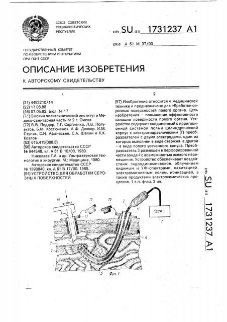 Устройство для обработки серозных поверхностей (патент 1731237)