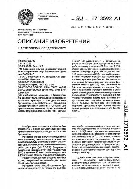 Способ получения антигена для серологической диагностики бруцеллеза (патент 1713592)