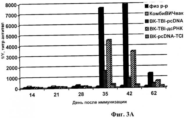 Рекомбинантная вакцина против вируса иммунодефицита человека 1 типа (патент 2317107)