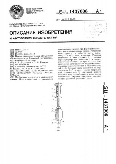 Устройство для формирования свищевого канала полого органа (патент 1437006)