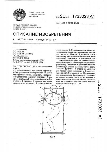 Устройство для тренировки мышц (патент 1733023)