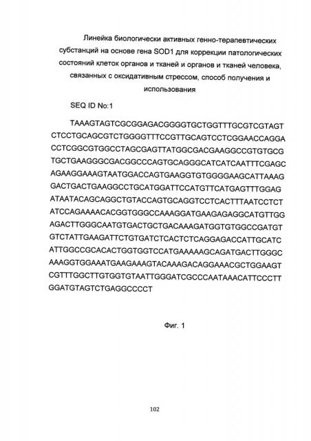 Линейка биологически активных генно-терапевтических субстанций на основе гена sod1 для коррекции патологических состояний клеток органов и тканей и органов и тканей человека, связанных с оксидативным стрессом, способ получения и использования (патент 2652353)
