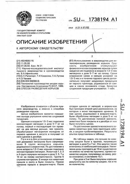 Способ разведения хорьков (патент 1738194)