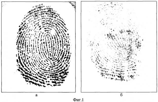 Способ распознавания принадлежности отпечатка пальца живому или неживому человеку (патент 2309672)