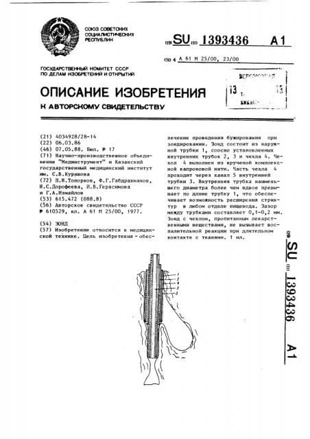 Зонд (патент 1393436)