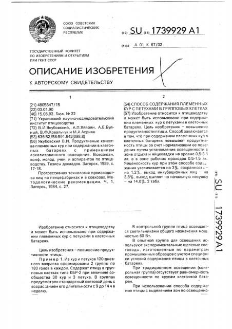 Способ содержания племенных кур с петухами в групповых клетках (патент 1739929)